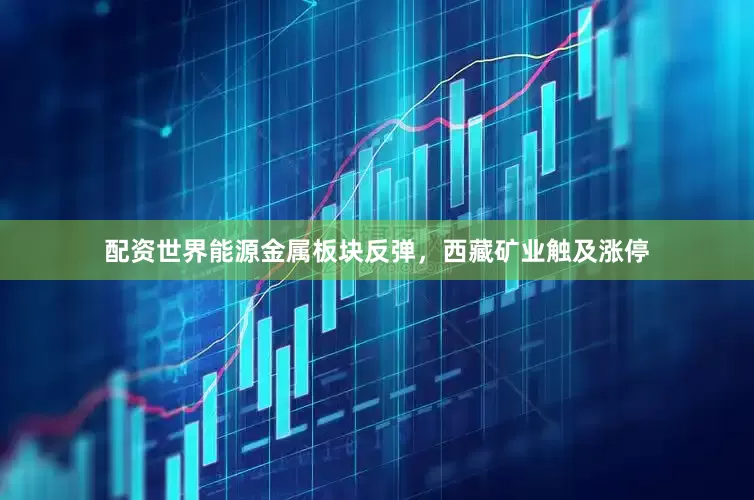 配资世界能源金属板块反弹，西藏矿业触及涨停